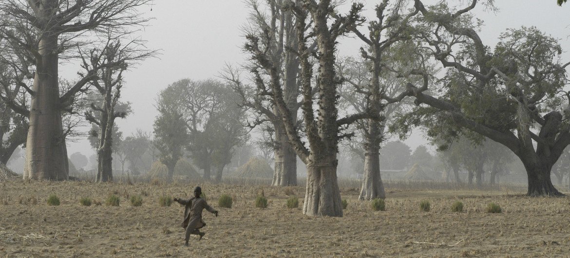 नाइजीरिया के पूर्वोत्तर प्रान्त कैटसीना के एक गाँव में, मैदान में दौड़ता एक बच्चा.