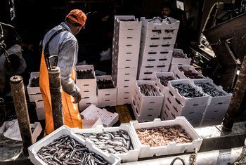 Контроль за рыбной ловлей помогает не допустить чрезмерной эксплуатации рыбных ресурсов.
