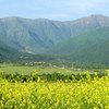 Азербайджан обязался восстановить 50 тыс. гектаров уничтоженных засухой земель. Село Лекит в Гахе, Азербайджан