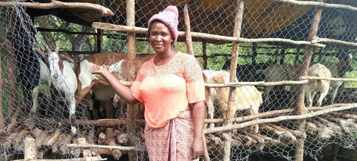 Sylvia Chiinda has boosted her income by farming goats.  