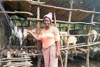 Sylvia Chiinda has boosted her income by farming goats.  