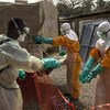 Un travailleur de la santé est désinfecté à Conakry, en Guinée, lors de l'épidémie d'Ebola en Afrique de l'Ouest en 2015.