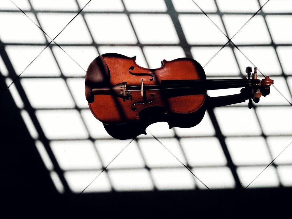 Un violon.