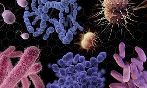La escasez de nuevos tratamientos para enfermedades graves ha dejado a las personas peligrosamente expuestas a las bacterias más peligrosas del mundo.