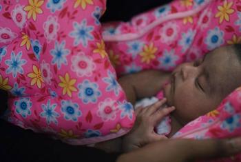 يقدر عدد النساء الحوامل في سري لانكا بحوالي 215 ألف امرأة، وفقا لبيانات وزارة الصحة السريلانكية.