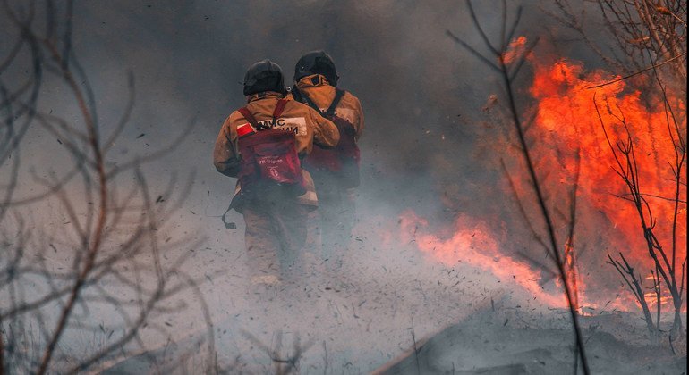 El cambio climático aumenta el riesgo de temperaturas cálidas y secas que puede favorecer los incendios forestales.