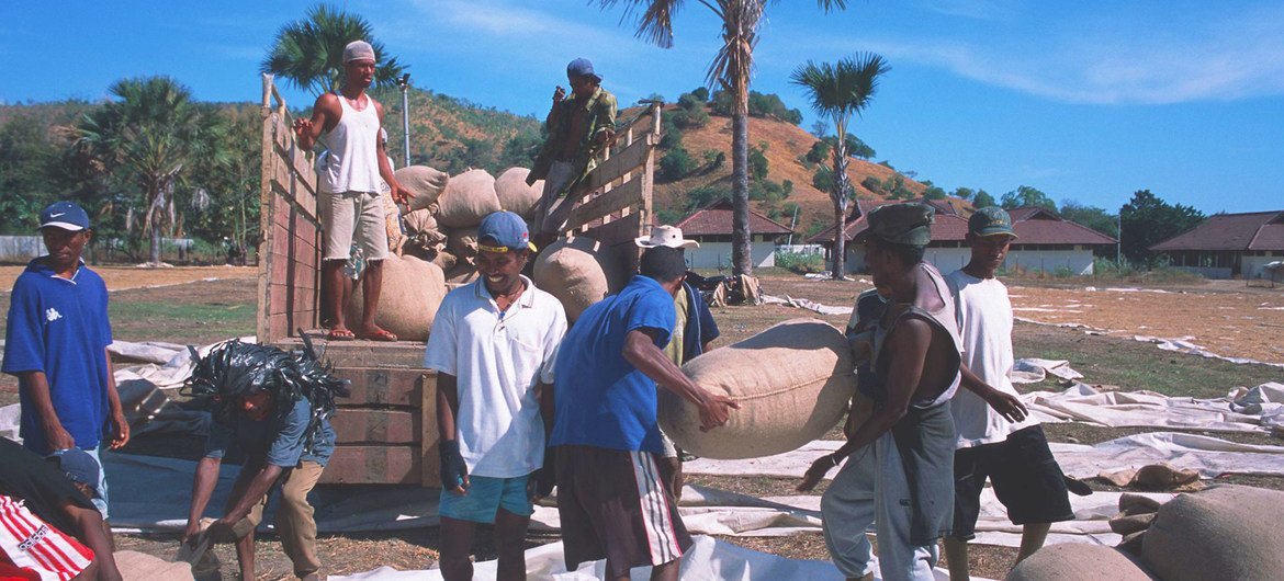 Timor-Leste continua dependendo da importação de 40% do total de alimentos que consome