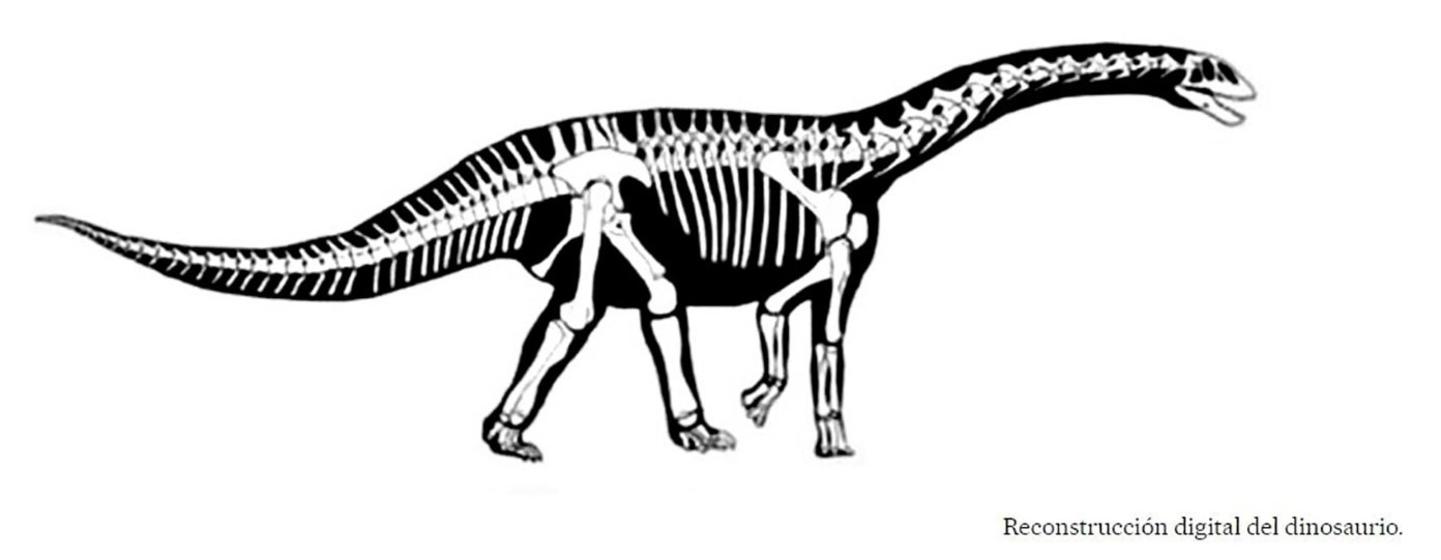 Digital reconstruction of Perijasaurus lapaz, a dinosaur discovered in Serranía del Perijá, northern Colombia.
