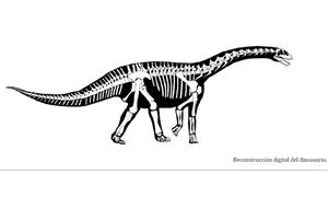 Digital reconstruction of Perijasaurus lapaz, a dinosaur discovered in Serranía del Perijá, northern Colombia.