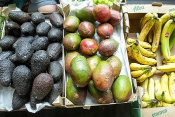 Des avocats, des mangues et des bananes sont en vente au marché d'Esquilino, à Rome.