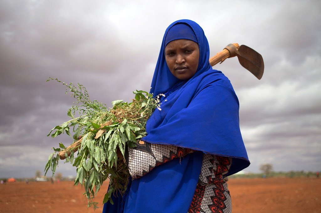 Une Somalienne déplacée élimine les mauvaises herbes dans une ferme en Somalie où des personnes déplacées plantent des tomates, des oignons et du maïs.