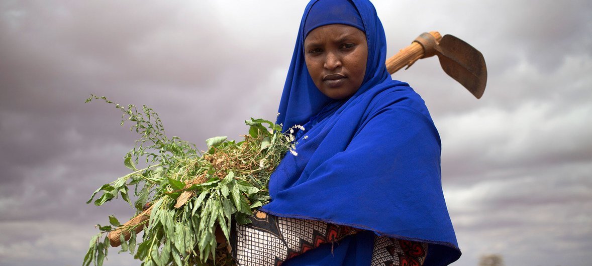 Une Somalienne déplacée élimine les mauvaises herbes dans une ferme en Somalie où des personnes déplacées plantent des tomates, des oignons et du maïs.