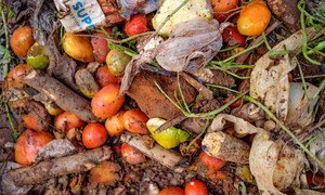 Food waste, pictured here at Lira market in Uganda, is a significant challenge for farmers and vendors alike. 