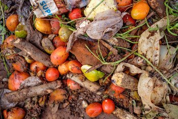 Food waste, pictured here at Lira market in Uganda, is a significant challenge for farmers and vendors alike. 