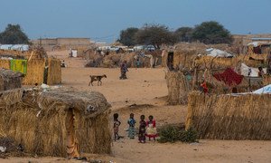 在尼日尔东南部迪法地区，为因博科圣地暴力而流离失所的人建立的非正式安置点内的儿童。