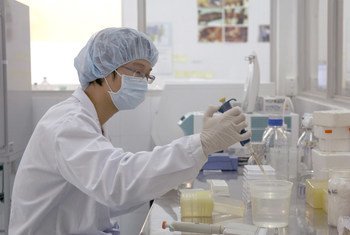 Pruebas en un labotario de Hanoi para confirmar casos de enfermedades contagiosas.