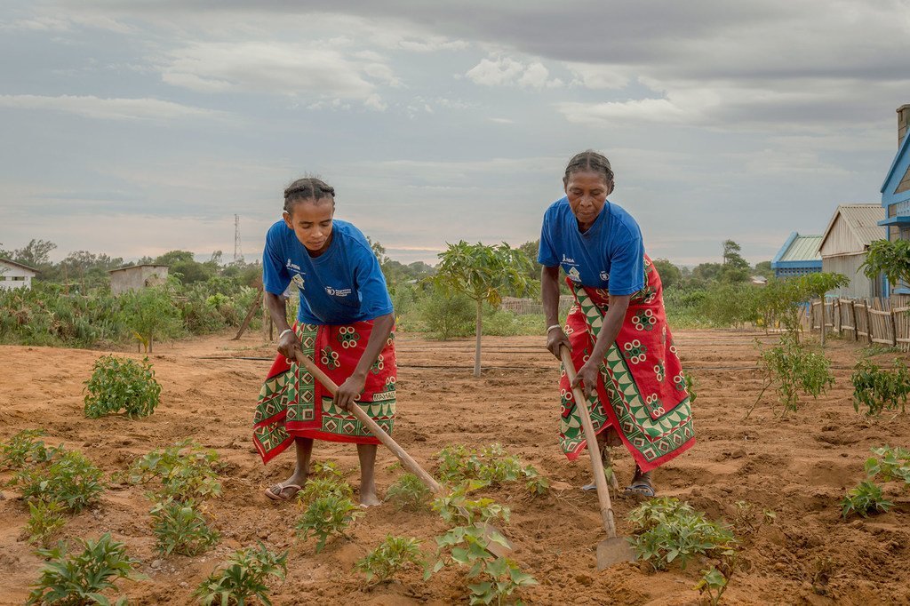马达加斯加妇女使用微型灌系统在土地上种植蔬菜，世界粮食计划署正在向当地的小农户组织提供创收机会。