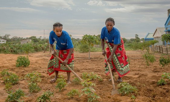 Women in Madagascar cultivate vegetables on land using a micro irrigation system, where WFP is providing income generating opportunities to small-holder farmer organizations.
