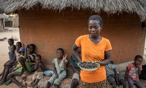 In Mazambara, Zimbabwe, where rain has been very sparse, a woman shows a plate of cicadas, one of the food options available after the WFP food ration is over.