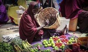 A more peaceful Somalia has allowed Somalis to lead a more normal life. 