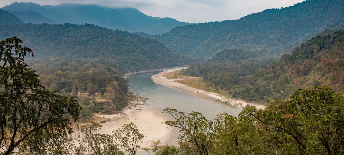 منظر لنهر ماناس في بوتان.