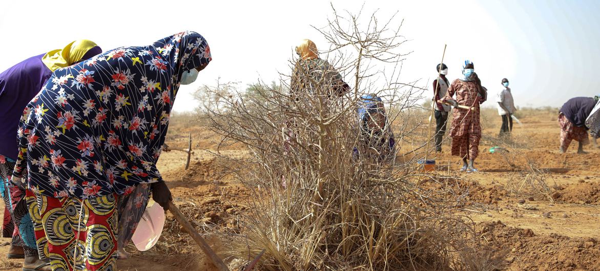 The Satara market garden in Tillaberi region, Niger.