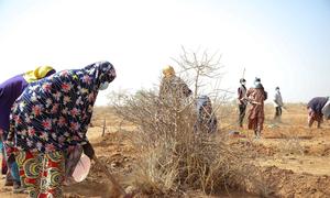 Niger. ED at the Satara market garden site where WFP is implementing a resilience Programme
