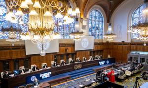 位于荷兰海牙和平宫的国际法院在举行听证会。(资料图片)