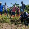 La ingeniera agrónoma del Pograma Mundial de los Alimentos Rose Senoviala Desir interactúa con los agricultores del norte de Haití.