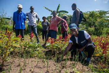 L'agronome du PAM Rose Senoviala Désir avec des agriculteurs dans le nord d'Haïti.