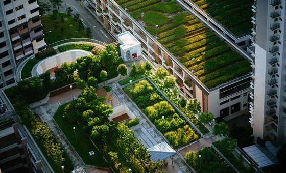 Новые зеленые города - путь к устойчивому будущему