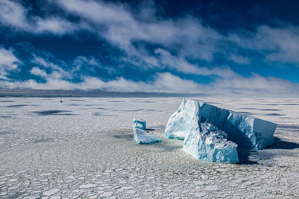 Icebergs dans la mer de Bellingshausen en Antarctique.