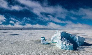 Icebergs in the Bellingshausen Sea in Antarctica.