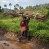 A child carries bundles of sticks along the road in the Democratic Republic of the Congo.