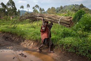 Детский труд в Демократической Республике Конго.