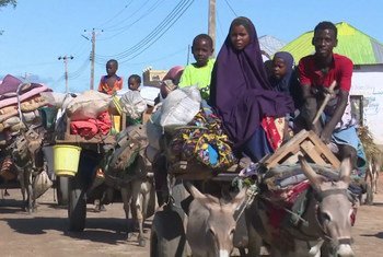 نزح حوالي نصف مليون شخص، كما تضرر أكثر من مليون شخص من الفيضانات والسيول النهرية في الصومال. بيليت وين، إحدى أكثر المناطق تضررا حيث تعرضت لأول مرة لفيضانات شديدة في أواخر العام الماضي عند فيضان نهر شابيلي بسبب الأمطار الغزيرة.