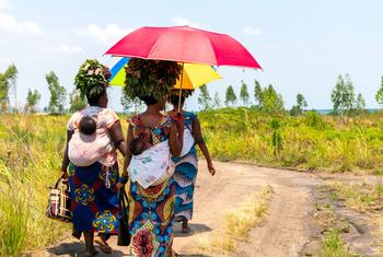 UNHCR have provided Burundian refugees with land to cultivate in the Democratic Republic of the Congo.