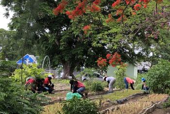 Workers at the National Botanical Gardens, Barbados