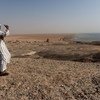 Un homme regarde l'océan Atlantique depuis les côtes de la Mauritanie, un pays d'Afrique de l'Ouest et du Sahel, situé au sud du désert du Sahara