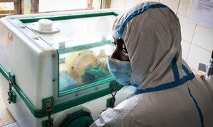 科特迪瓦宣布出现25年多来首例埃博拉病毒。