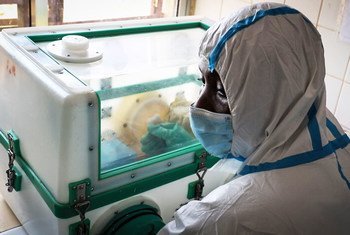 科特迪瓦宣布出现25年多来首例埃博拉病毒。