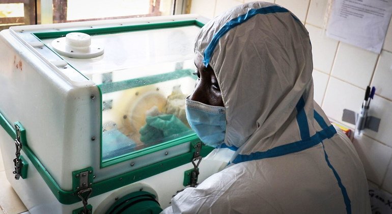 Covid-19, choléra, Ebola et Marburg : l’Afrique de l’Ouest est mise à rude épreuve