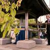 Le Secrétaire général de l'ONU António Guterres fait sonner la Cloche de la paix lors d'une cérémonie au siège des Nations Unies.
