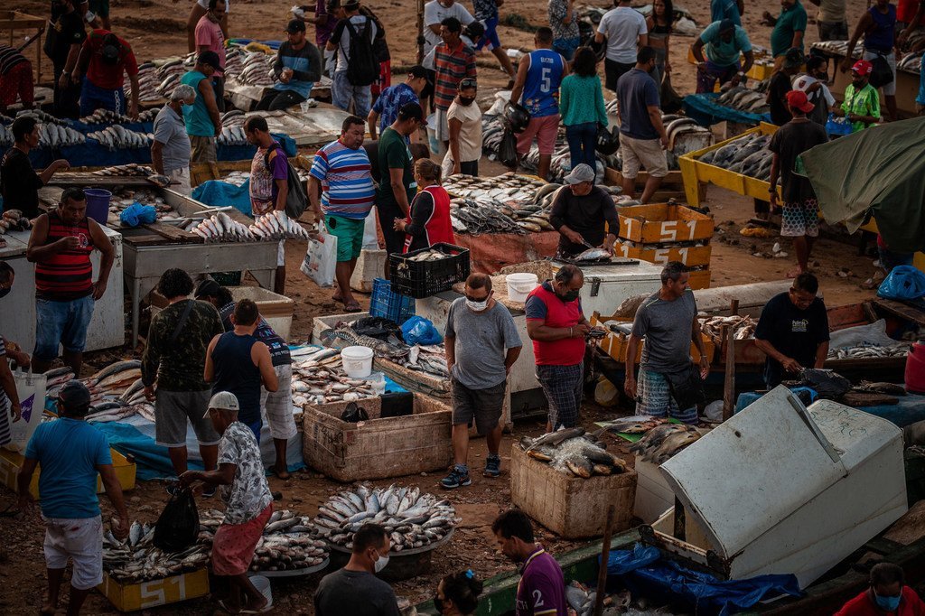 巴西亚马孙州玛瑙斯，鱼市繁忙依旧。虽然政府出台了法令要求民众佩戴口罩，但许多人并未遵守。该州的病例数量近期再次出现增长。