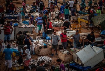 Movimento intenso em um mercado informal de peixes às margens do Rio Negro, em Manaus, em setembro de 2020