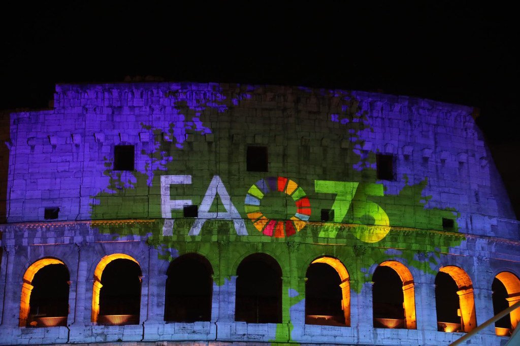 罗马圆形大剧场的数字投影，庆祝联合国粮农组织成立75周年。