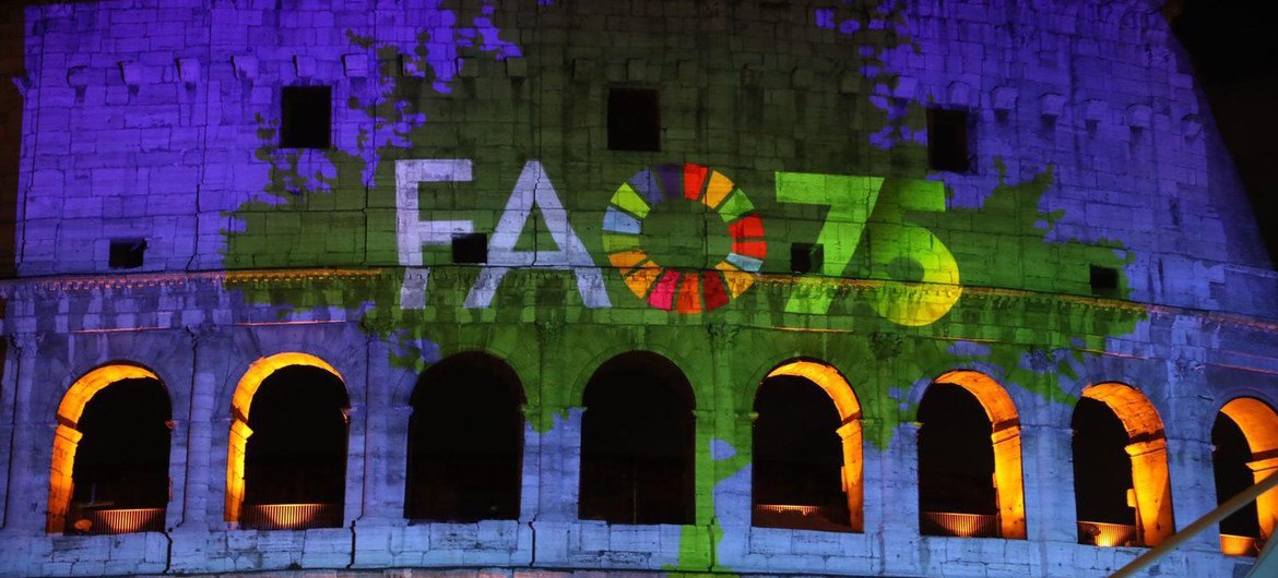 The 75th anniversary of the founding of the Food and Agriculture Organization is celebrated in a digital projection on Rome's Colosseum. ©️FAO/Alessia Pierdomenico 