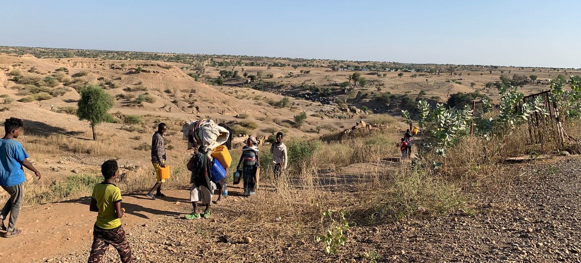 Cerca de 500 pessoas fugindo dos confrontos na região de Tigray, no norte da Etiópia, atravessam diariamente a fronteira com o Sudão