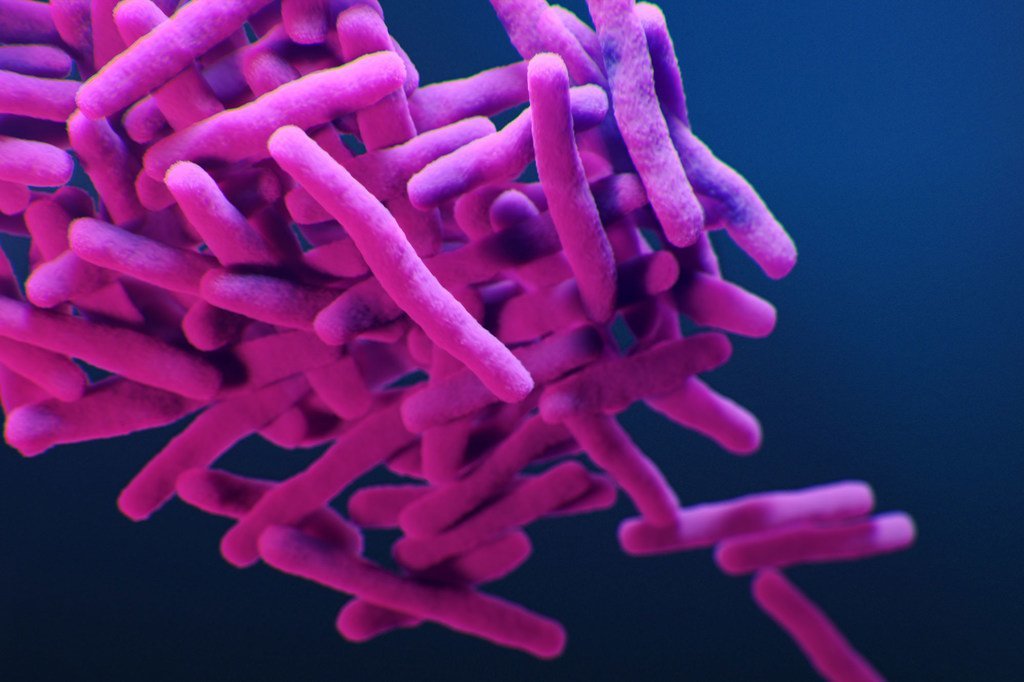 Une illustration médicale représente la bactérie Mycobacterium tuberculosis résistante aux médicaments.