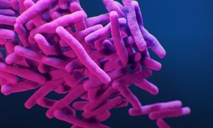 Ilustração médica da bactéria multirresistente mycobacterium tuberculosis